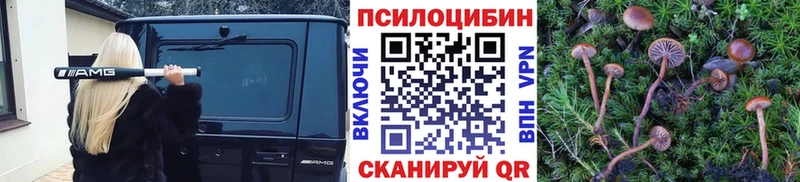 Псилоцибиновые грибы MAGIC MUSHROOMS Кудымкар