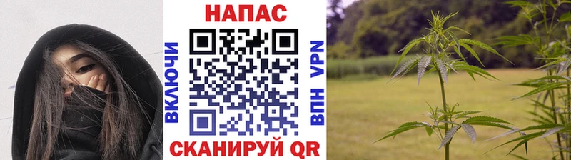 Канабис OG Kush  даркнет сайт  Кудымкар 